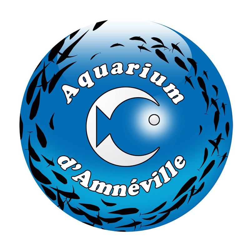 Aquarium amneville enfant - de 3 à 11 ans Aquarium amneville enfant - de 3 à 11 ans