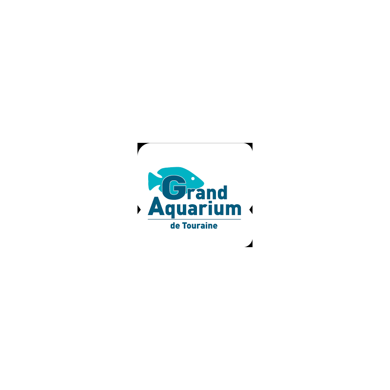 Aquarium de touraine - de 4 à 12 ans - sur commande 15 j de délai Aquarium de touraine - de 4 à 12 ans - sur commande 15 j de délai
