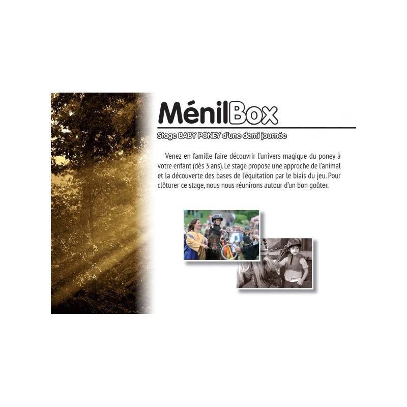 Menil box  baby poney demi journee