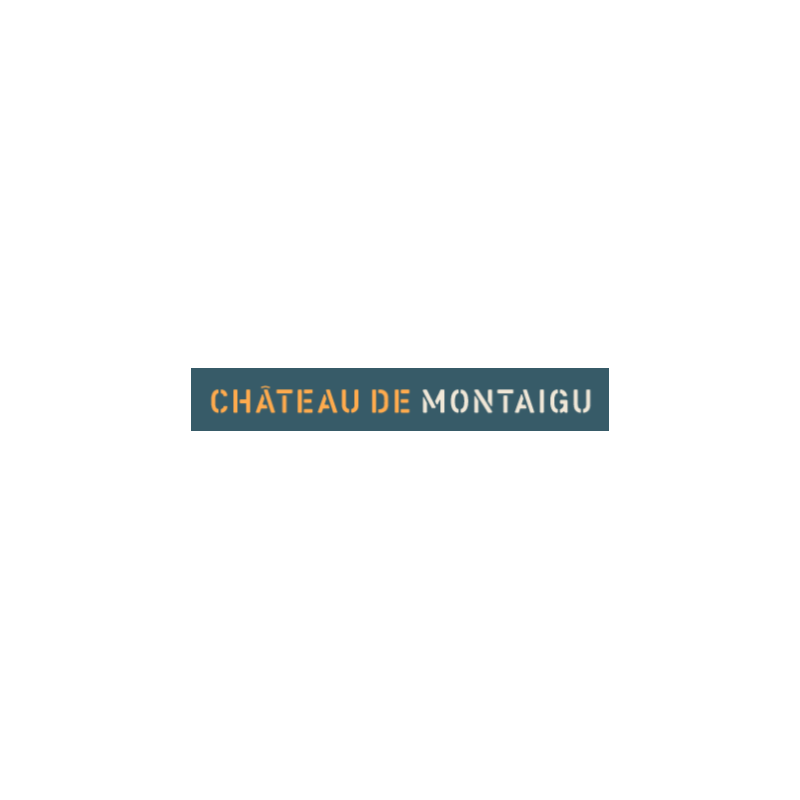 Château de Montaigu Château de Montaigu