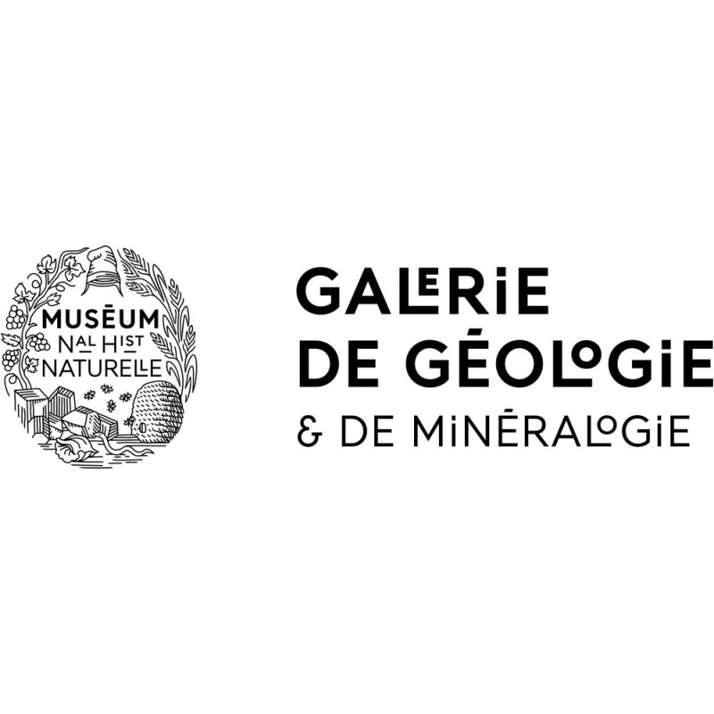 Galerie de mineralogie et de geologie dès 26 ans Galerie de mineralogie et de geologie dès 26 ans