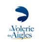 Volerie des aigles adulte - à partir de 15 ans Volerie des aigles adulte - à partir de 15 ans