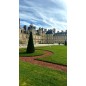 Chateau de fontainebleau - à partir de 26 ans - sur commande 15 j de 