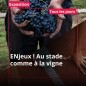 Cité du Vin à partir dès 18 ans Cité du Vin à partir dès 18 ans